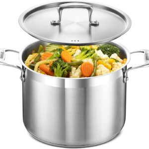Stockpot Brushed Stainless Steel - Heavy Duty Induction Pot with Lid and Riveted Handles - For Soup, Seafood, Stock, Canning and for Catering for Large Groups and Events by BAKKEN - 8